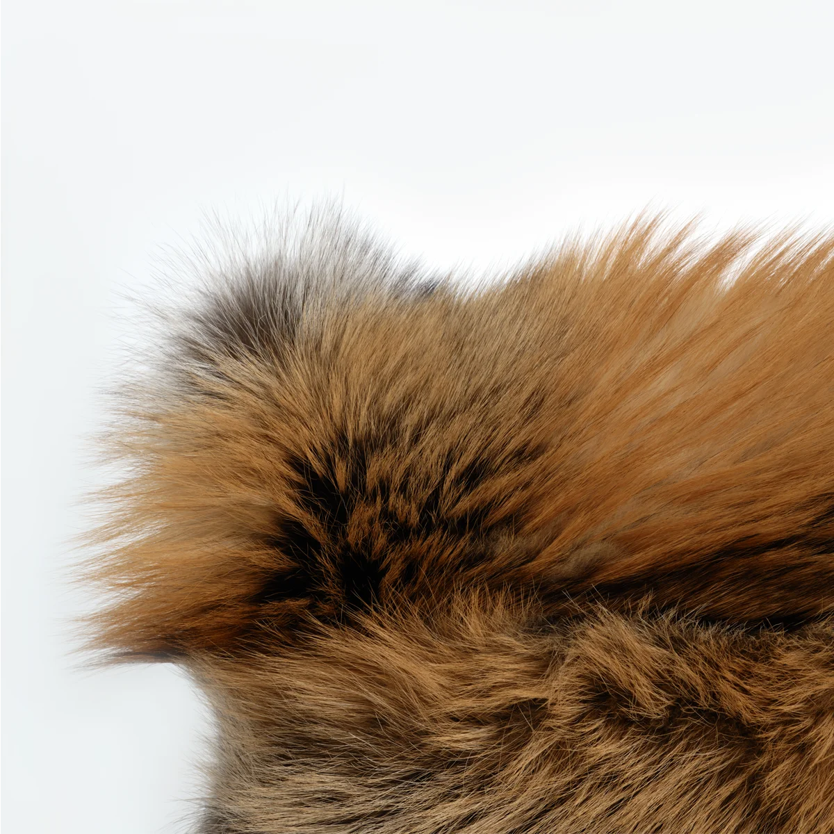 SUNSET - GOLD CROSS FOX CUSHION