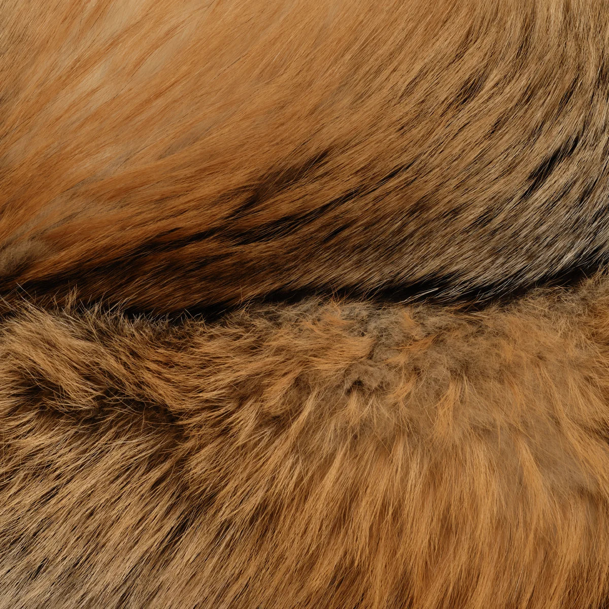 SUNSET - GOLD CROSS FOX CUSHION
