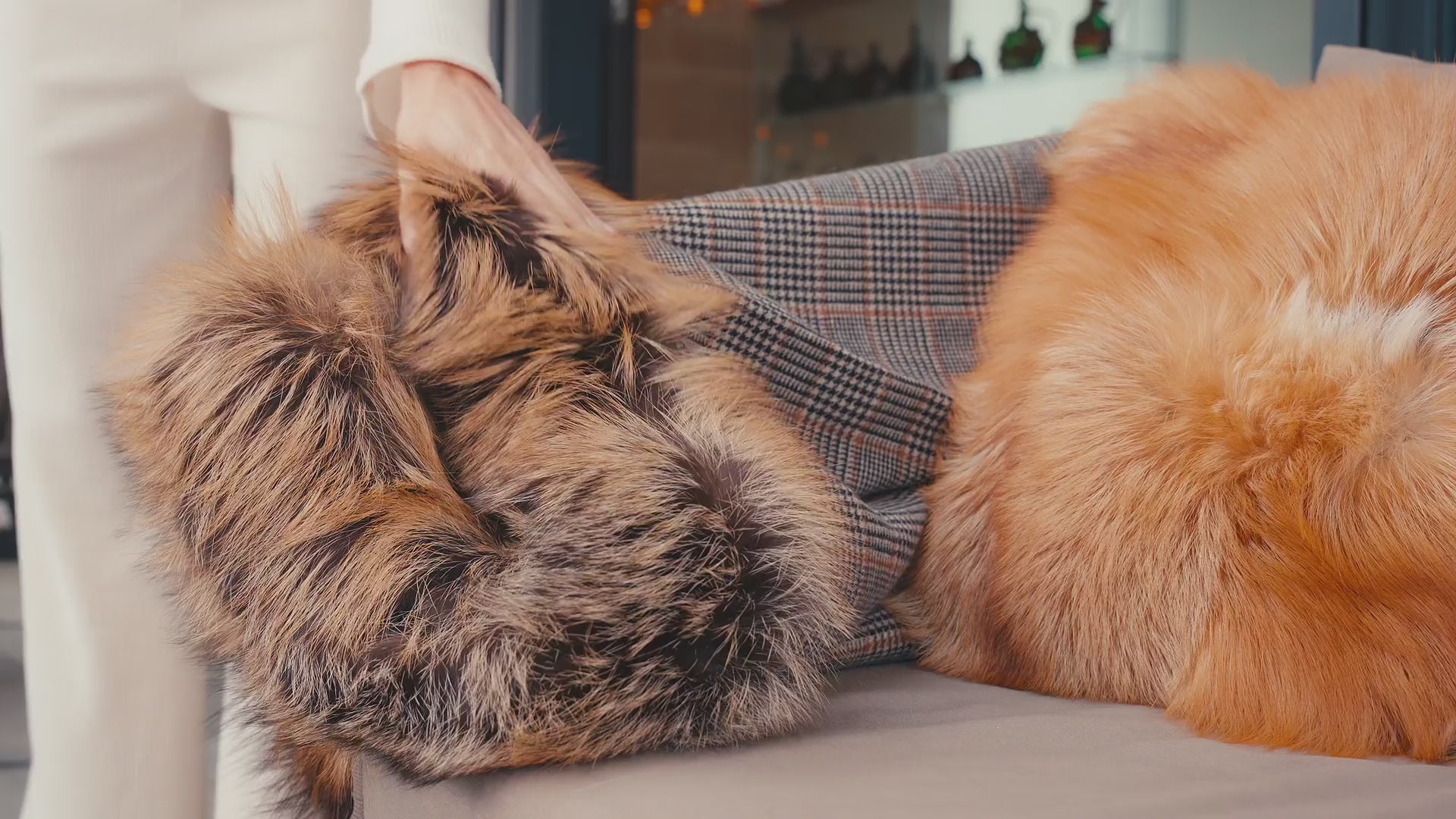 COUNTRYMAN - WOOL AND CASHMERE THROW BLANKET WITH GOLD CROSS FOX
